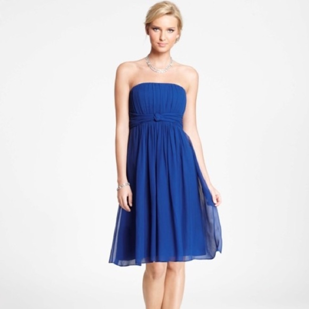 NWT 100% Silk Ann Taylor Dress